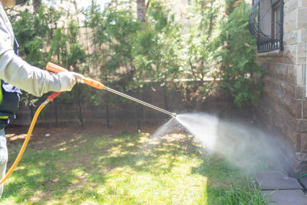 Best Termite Control Services  in Hidden Valley Lake, CA