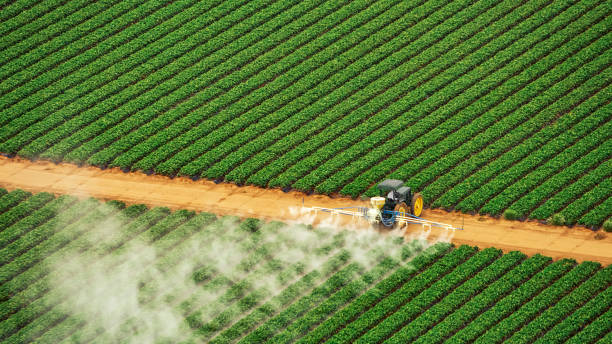 Best Mosquito Control Services  in Hidden Valley Lake, CA
