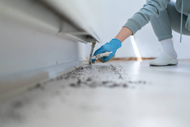 Best Pest Removal Services  in Hidden Valley Lake, CA
